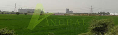 Neoshape Infratech Pvt Ltd Builders NS Anchal Homes Sector-150 Noida