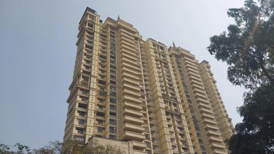 Cosmos Jewels Elevation