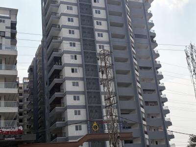Praneeth Pranav Solitaire Elevation