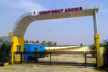 Confident Adonis Entrance