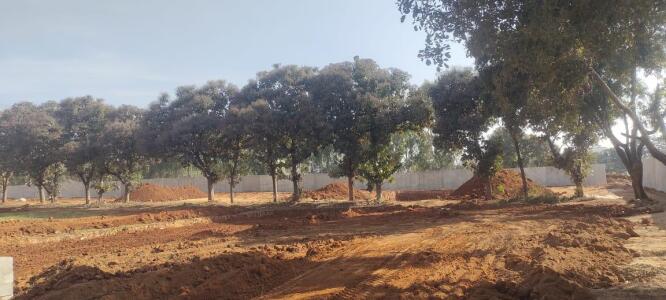 Adarsh Forest Glen Site View