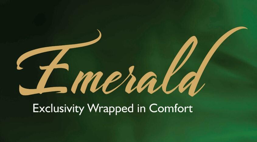 Emerald by Anant Jaipur