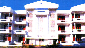 Ardee Platinum Image