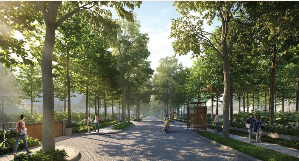 Aspire City Internal Road