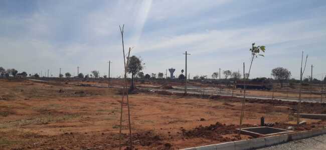 Asrithas 14th Avenue Site View