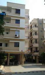 Balaji Gold Image