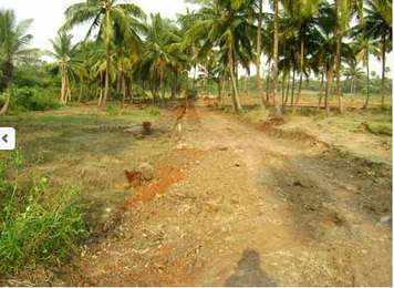 Bestow Eco Village Image