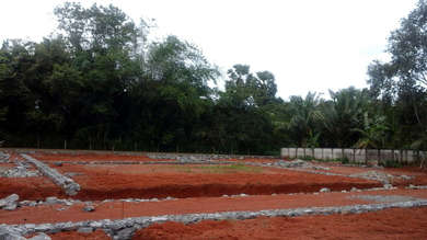 Bestow Fortune Garden Image