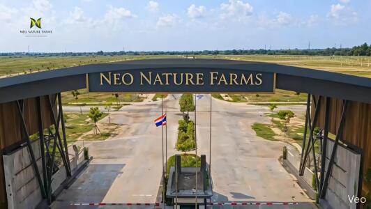 Neo Nature Farmhouse