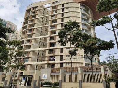 Brigade Caladium Elevation