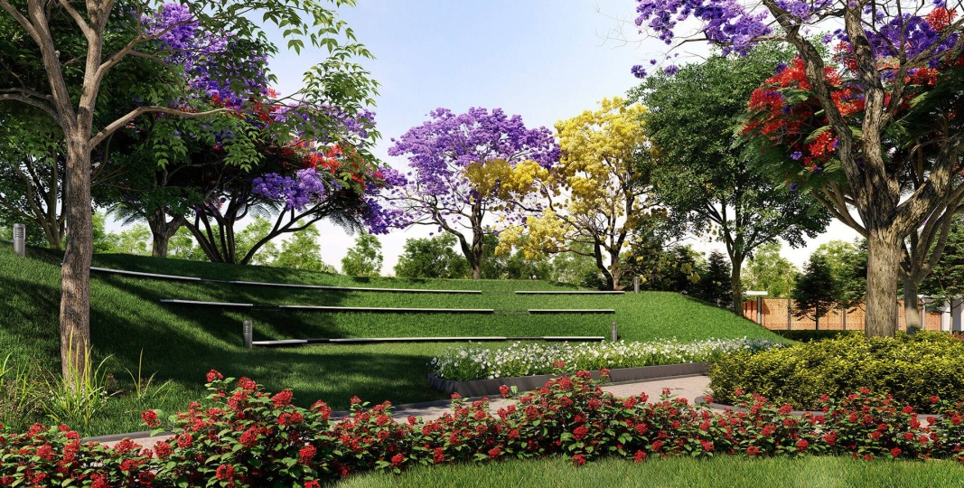 Capstone Life Capstone Flowing Tree Photos And Videos Yelahanka