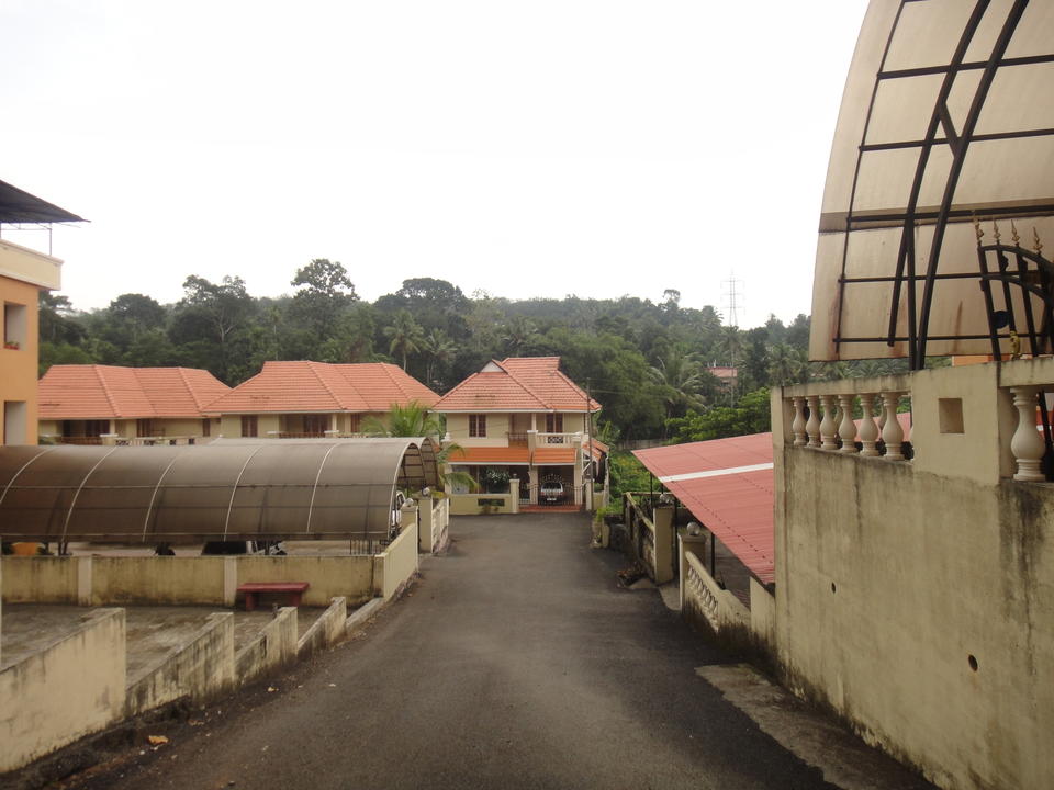 Castle Marigold, Daffodils and Orchid Kottayam, Kalathipady Resale