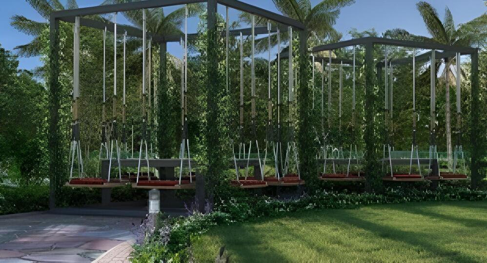 Clove County Others Highlights 