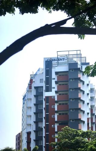 Crescent Tulip Elevation