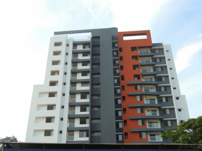 Crescent Zinnia Elevation