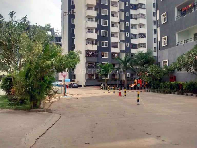 Photos Daadys Builders Elixir Videos Paved Compound