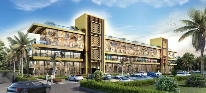 BPTP District Walk D Elevation