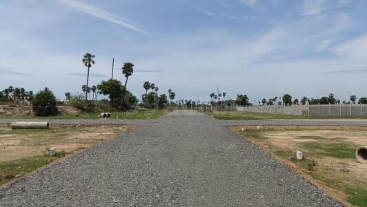 Chola Bay Site View