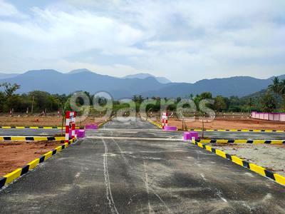 Dream City Site View