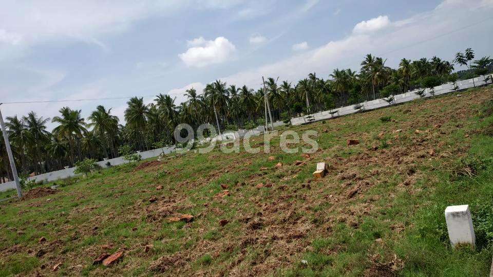 Varma infra and Developers Golden Palms Photos - Bhogapuram ...