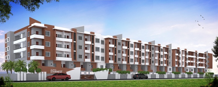 DS Max Star Nest Artistic Elevation