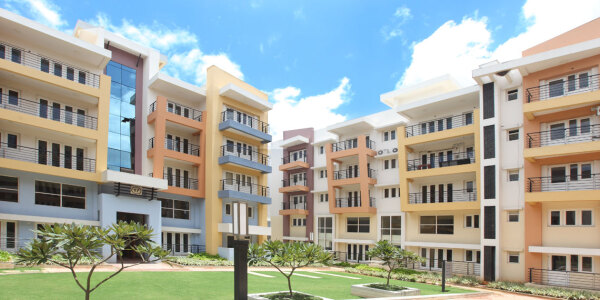 Embassy Habitat Elevation