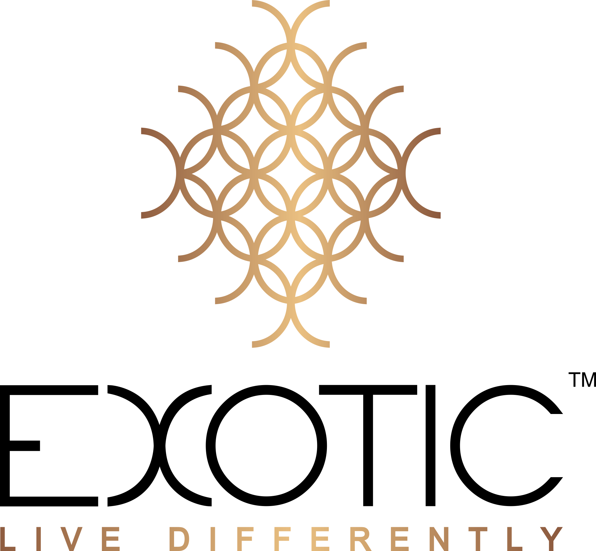 Exotic Magnifiq Panchkula, Peer Muchalla Price List & Brochure, Floor