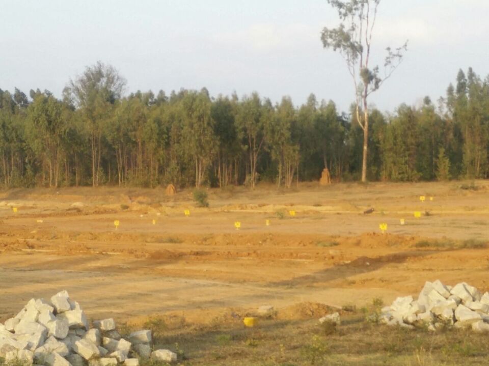 Neo Infrastructure Neo Paradise Photos Electronic City, Bangalore