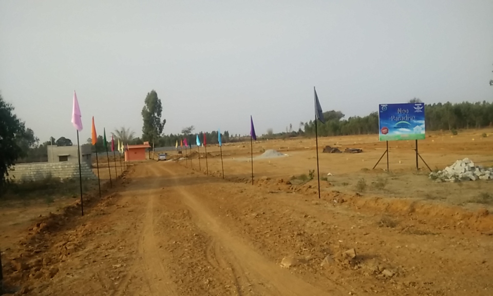 Neo Infrastructure Neo Paradise Photos Electronic City, Bangalore