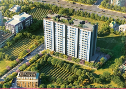 ANP Retreat Aerial View