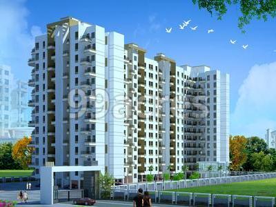 Neel Pride Artistic Elevation