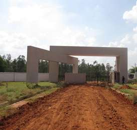 Geown Homestead Image