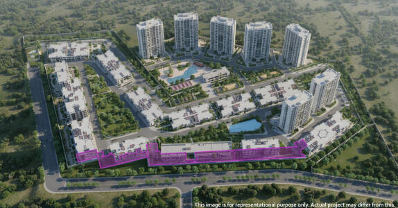 The Joy Street Geras Island of Joy Aerial View