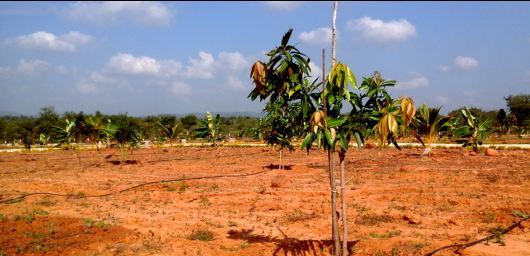 GGN Hill Resorts Garden Sendrayanpalayam, Thiruvallur Resale Price List ...