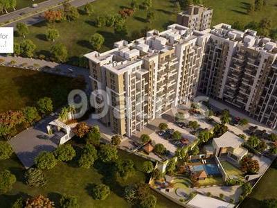 Gini Aria Aerial View