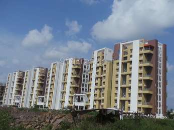 Gini Viviana Elevation