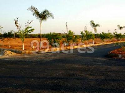 GMR Plots Site View