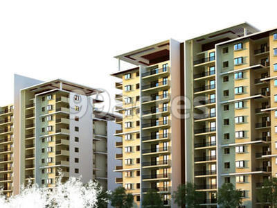 Golden Days Artistic Elevation