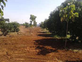 Green Estates Pasumai Thottam Image