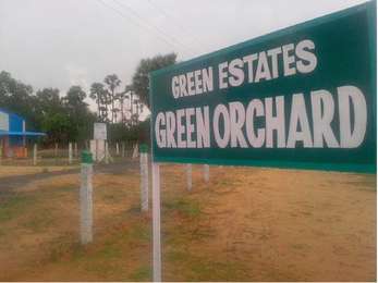 Green Orchard Image