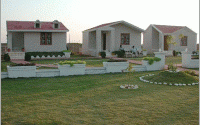 Green Airport Town Image