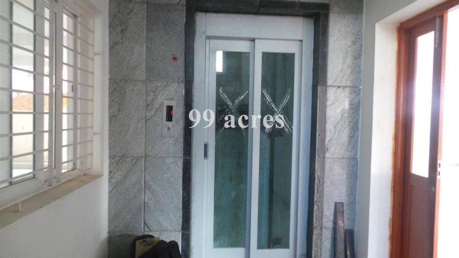 Green Leaves Estates Builders Green Cinnamon Leaves Photos Porur