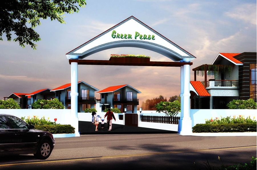 Green Paradise Enterprises Green Pease Photos Saphale, Mira Road And