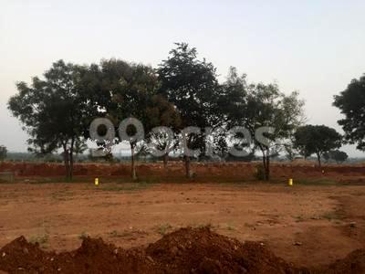 Green Valley Oak Meadows Site View