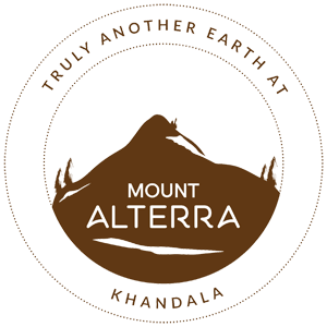 LOGO - Hiranandani Mt Alterra