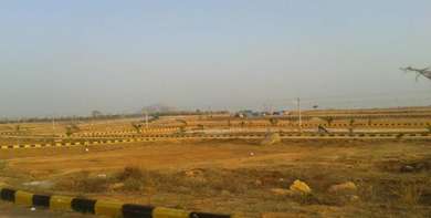 Incredible India Wild Stone Image