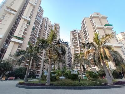 JM Florence Elevation