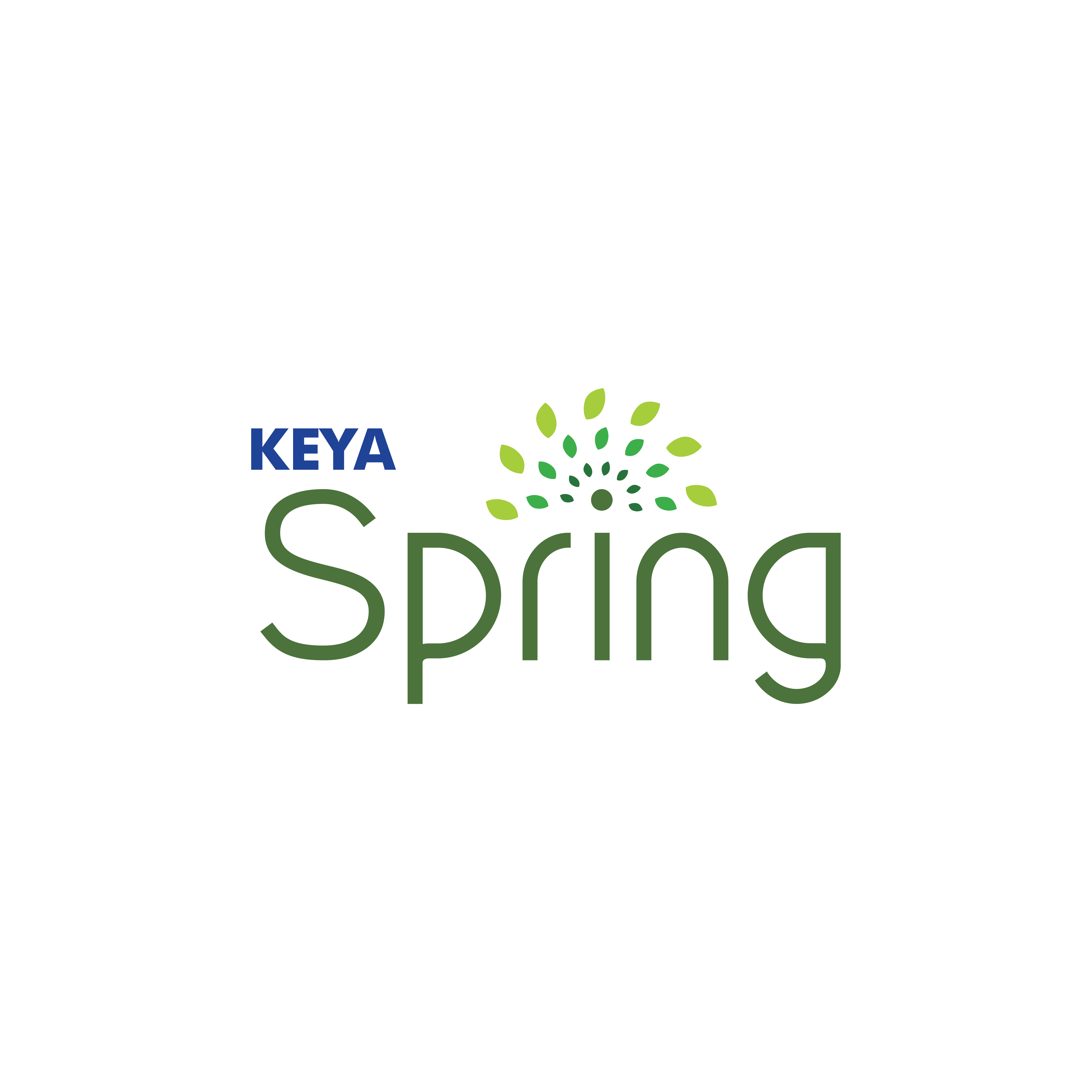 LOGO - Keya Spring