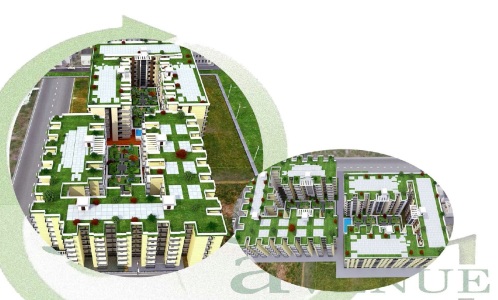 Kingson Green Avenue 1