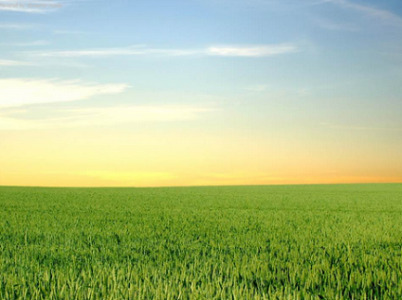 Kristal Hematite Image